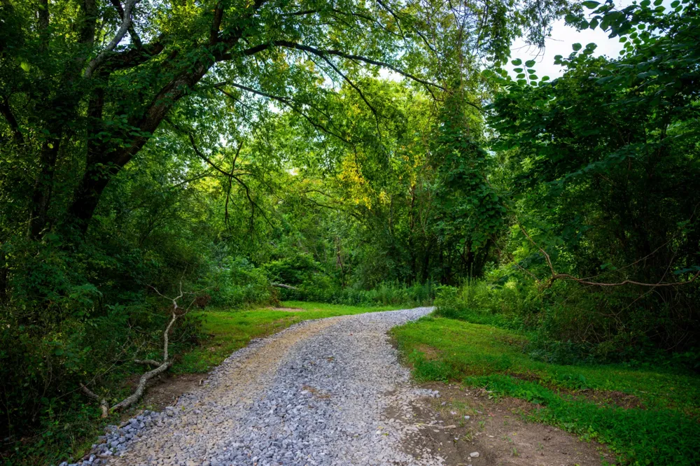128 Leath Ln Bethpage, TN 37022