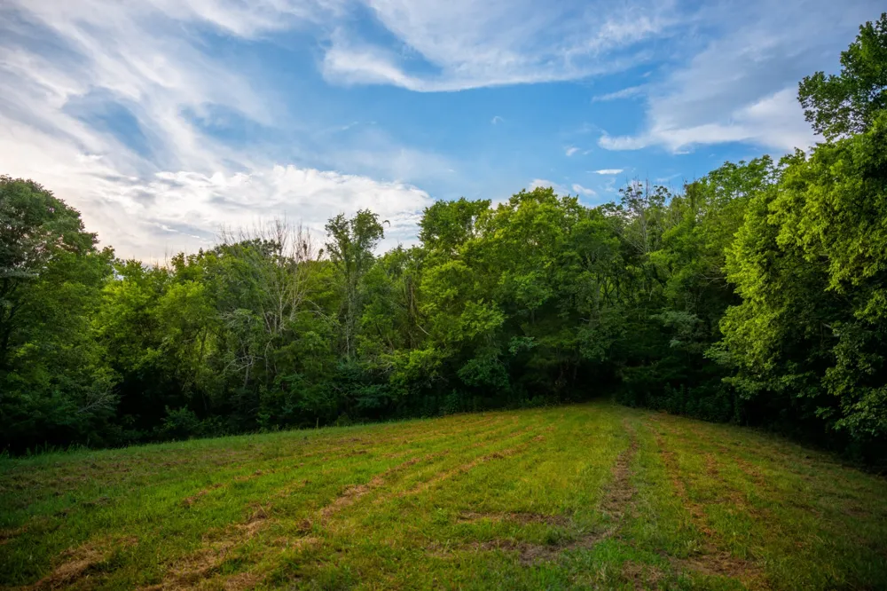 128 Leath Ln Bethpage, TN 37022