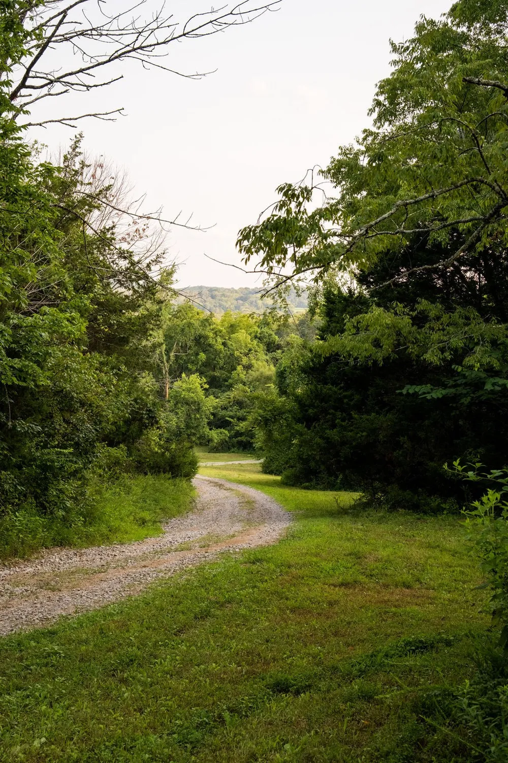 128 Leath Ln Bethpage, TN 37022