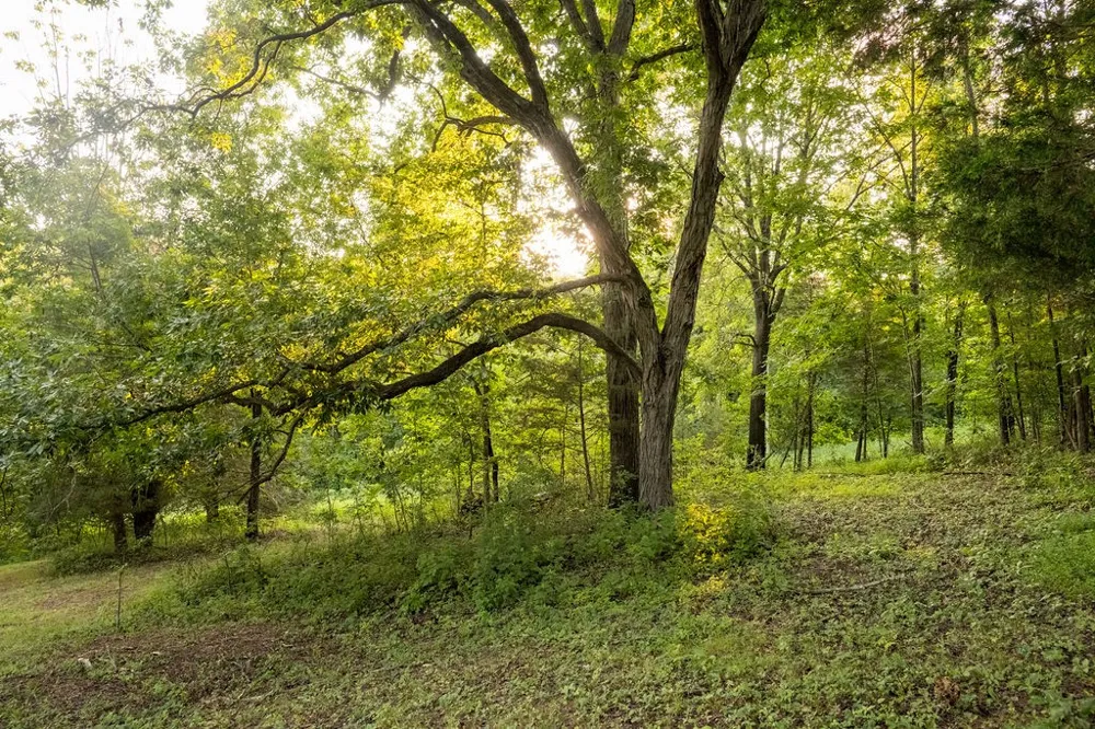 128 Leath Ln Bethpage, TN 37022