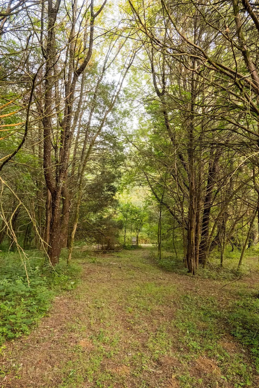 128 Leath Ln Bethpage, TN 37022