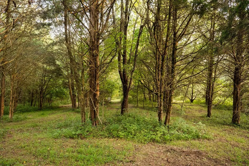 128 Leath Ln Bethpage, TN 37022