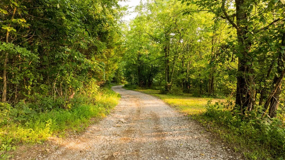 128 Leath Ln Bethpage, TN 37022