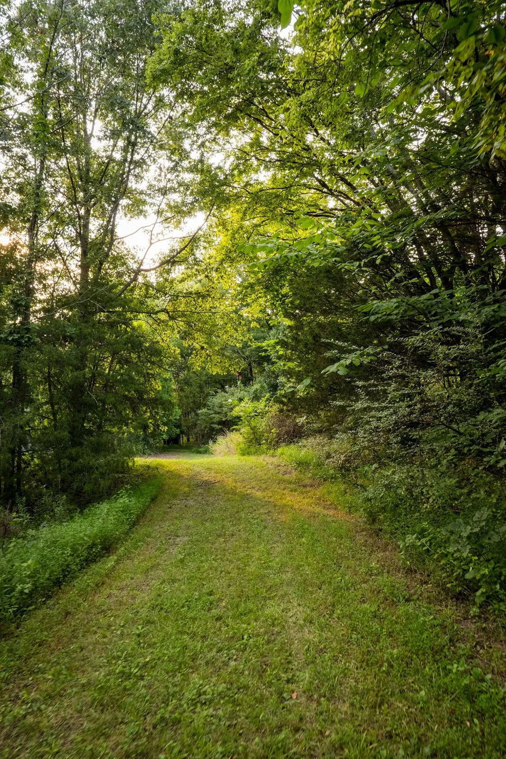 128 Leath Ln Bethpage, TN 37022