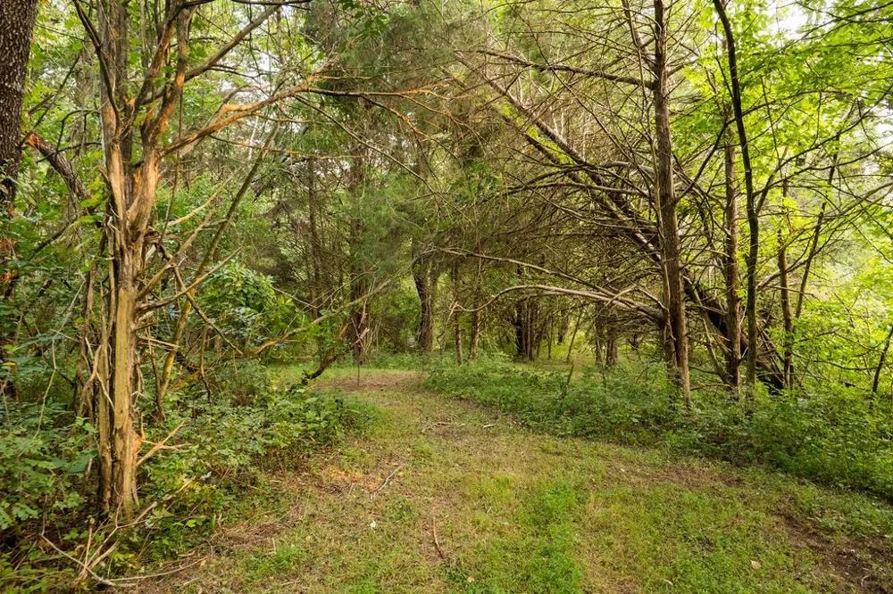 128 Leath Ln Bethpage, TN 37022