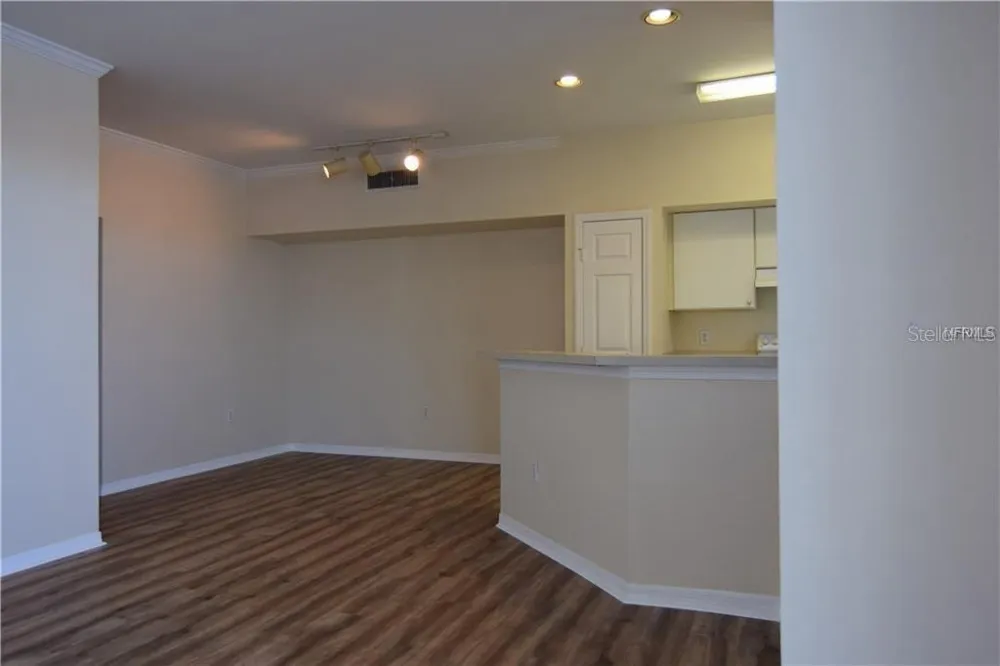 9640 LAKE CHASE ISLAND WAY Tampa, FL 33626