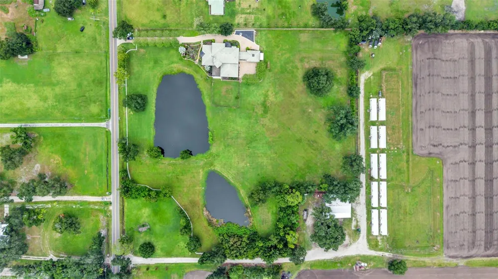 5503 DOWNING STREET Dover, FL 33527