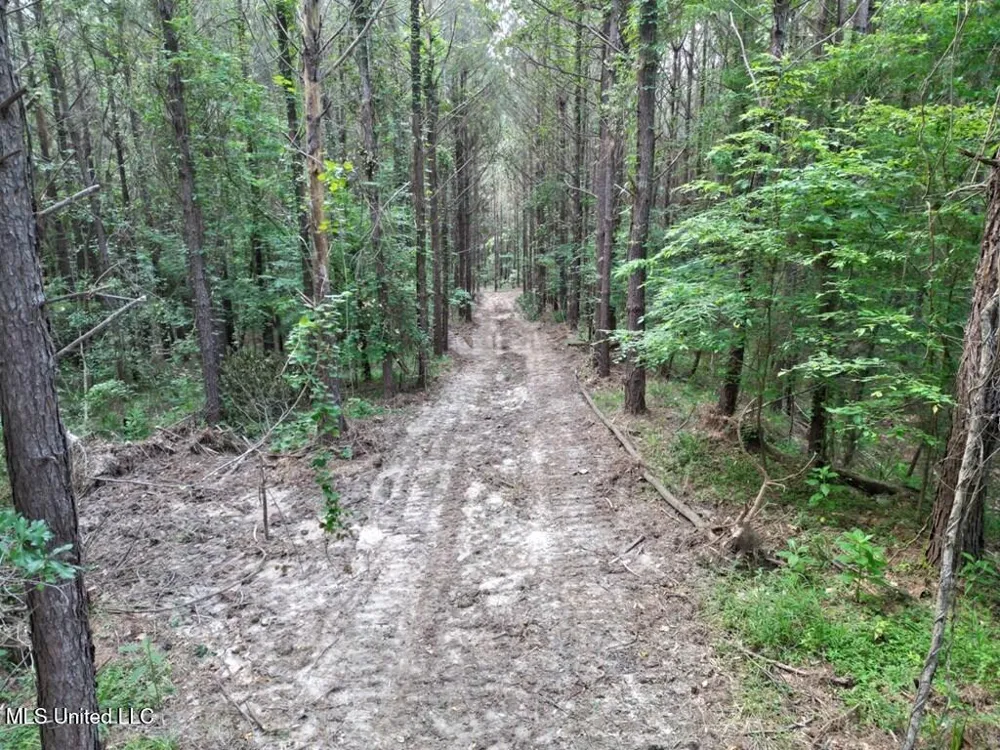 1 Old Hamburg Road Roxie, MS 39661