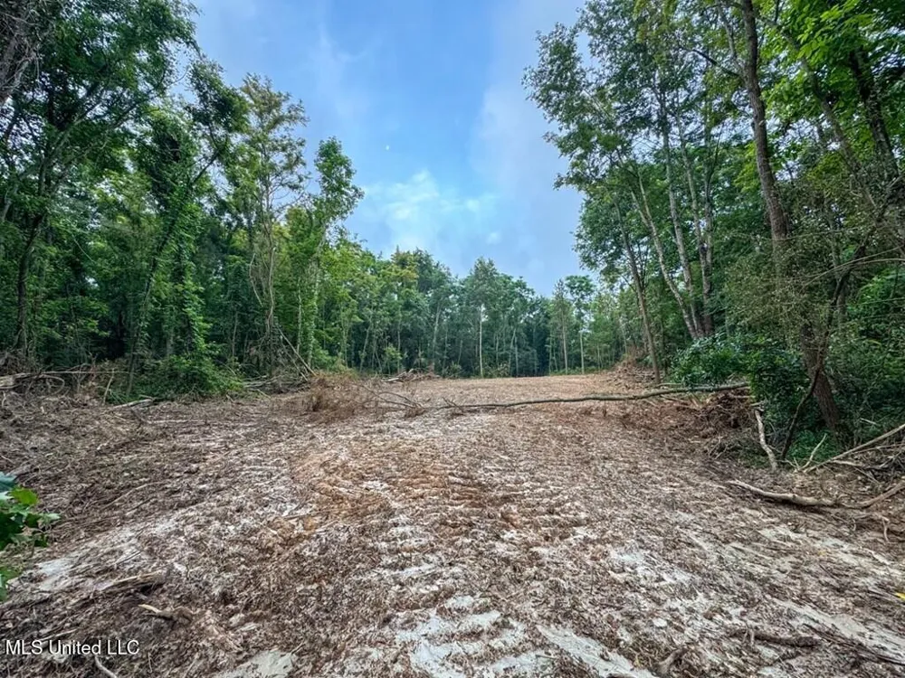 1 Old Hamburg Road Roxie, MS 39661