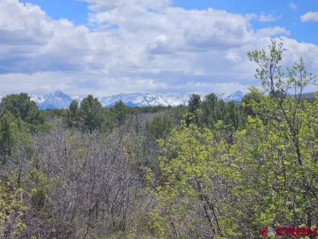 7 Government Springs Montrose, CO 81403