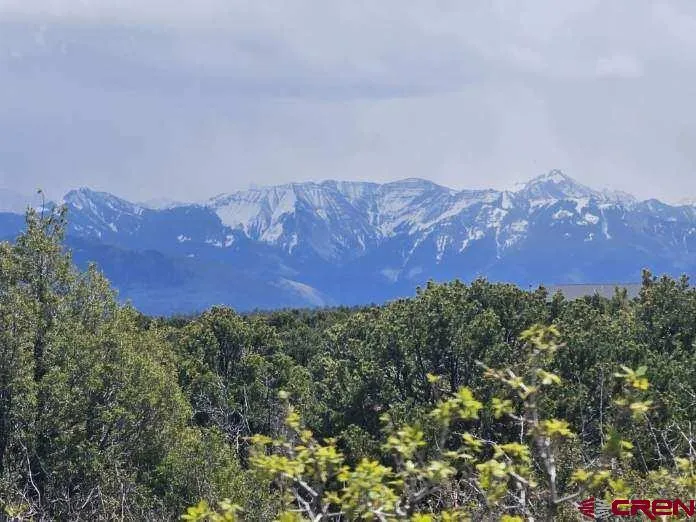 7 Government Springs Montrose, CO 81403