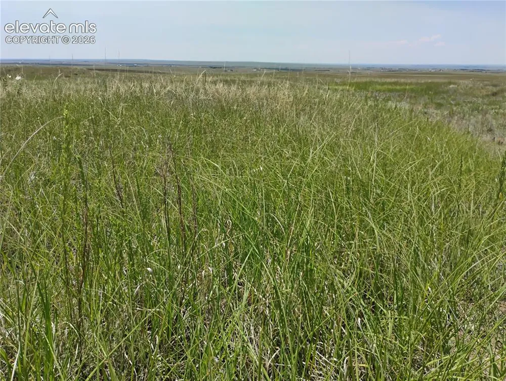 Parcel 8 Tallgrass View Calhan, CO 80808