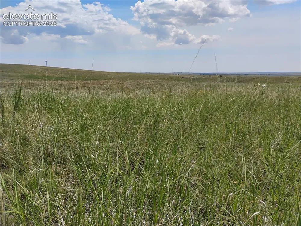 Parcel 8 Tallgrass View Calhan, CO 80808