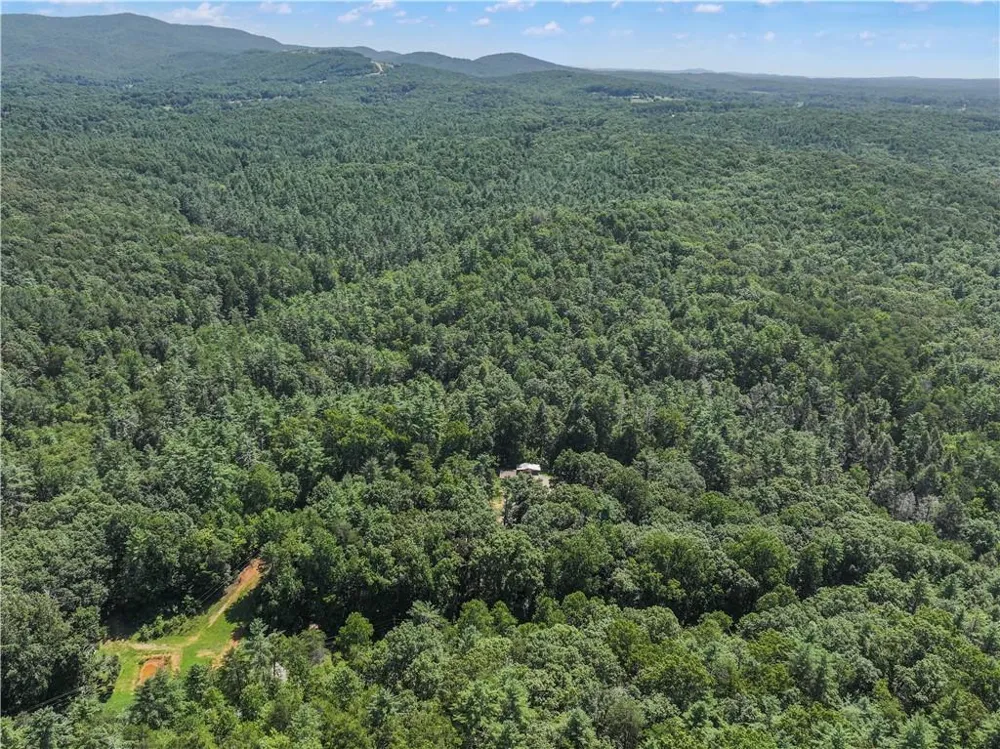 5082 Highway 197 Clarkesville, GA 30523