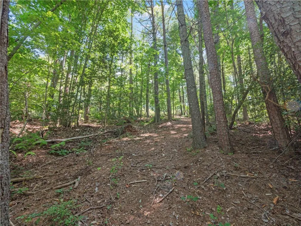 5082 Highway 197 Clarkesville, GA 30523