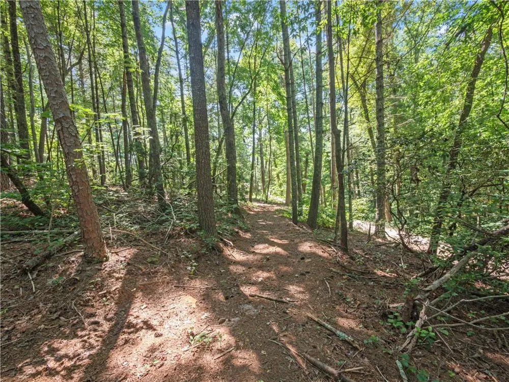 5082 Highway 197 Clarkesville, GA 30523