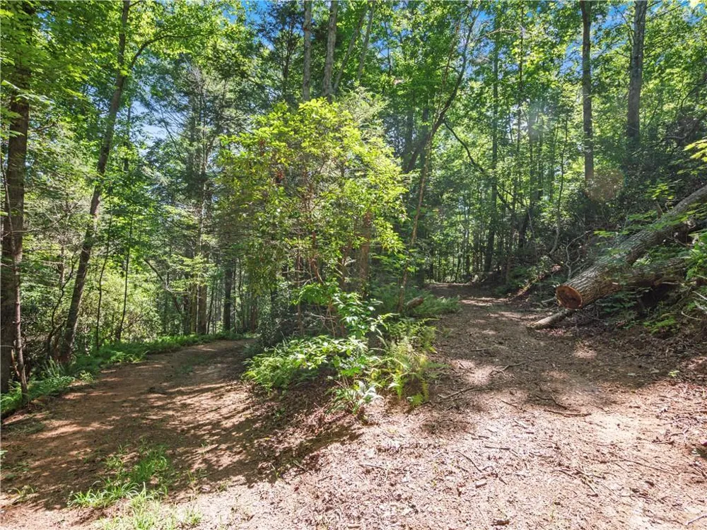 5082 Highway 197 Clarkesville, GA 30523