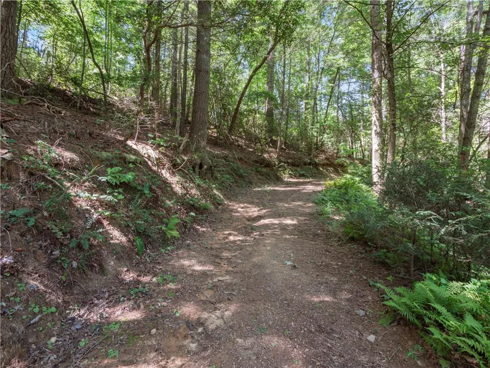 5082 Highway 197 Clarkesville, GA 30523