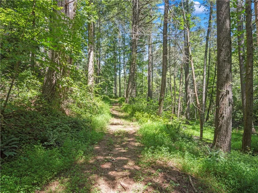 5082 Highway 197 Clarkesville, GA 30523