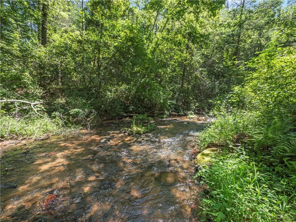 5082 Highway 197 Clarkesville, GA 30523
