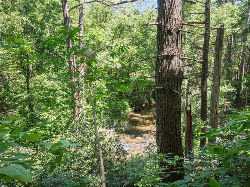 5082 Highway 197 Clarkesville, GA 30523
