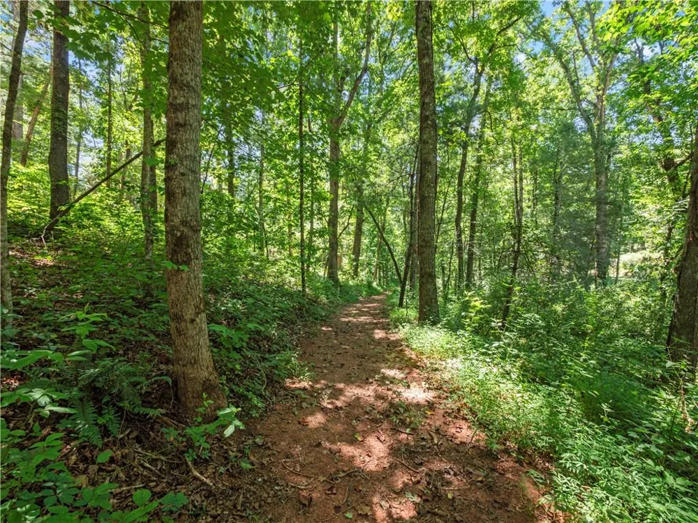 5082 Highway 197 Clarkesville, GA 30523