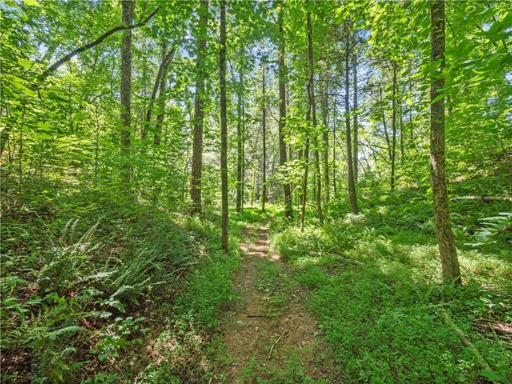 5082 Highway 197 Clarkesville, GA 30523