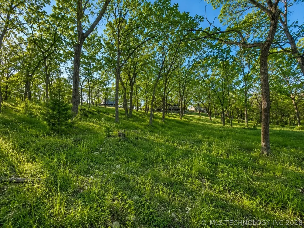 S Coves Drive Afton, OK 74331
