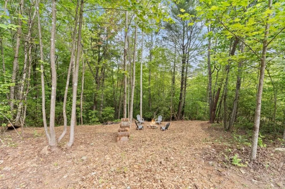 707 S Fern Cove Road S Sautee Nacoochee, GA 30571