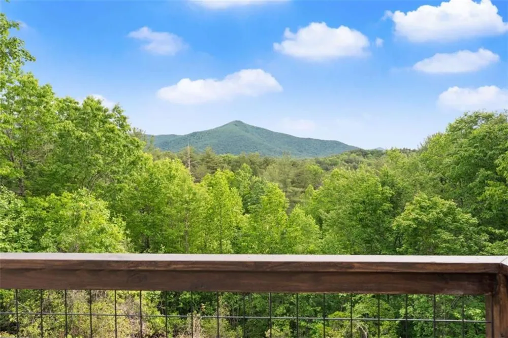 707 S Fern Cove Road S Sautee Nacoochee, GA 30571
