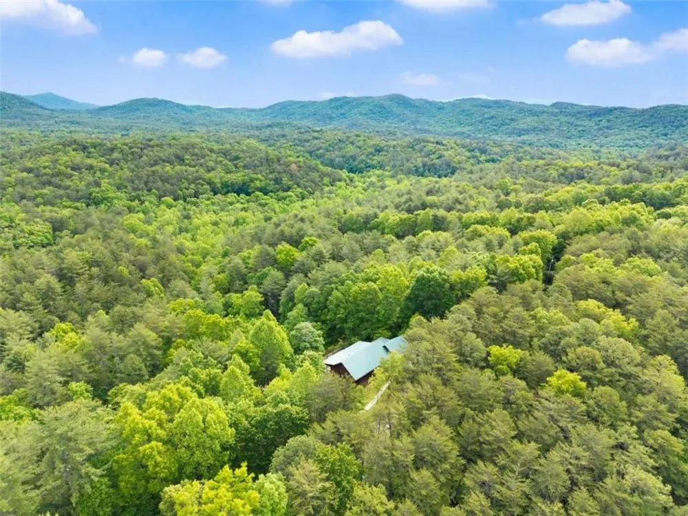 707 S Fern Cove Road S Sautee Nacoochee, GA 30571