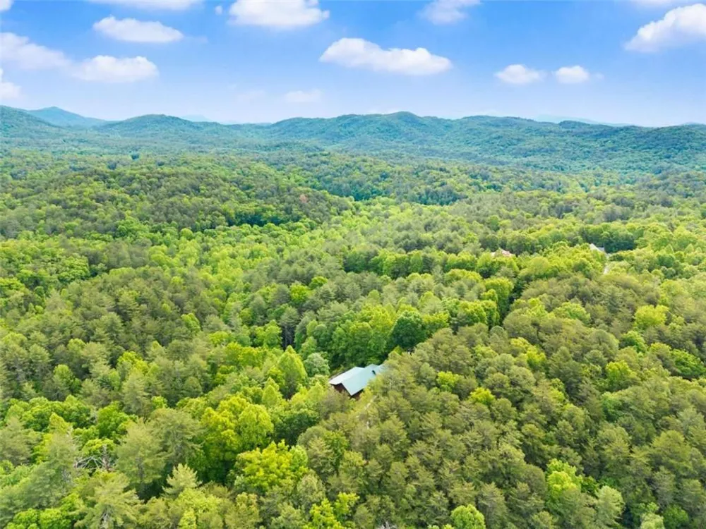 707 S Fern Cove Road S Sautee Nacoochee, GA 30571