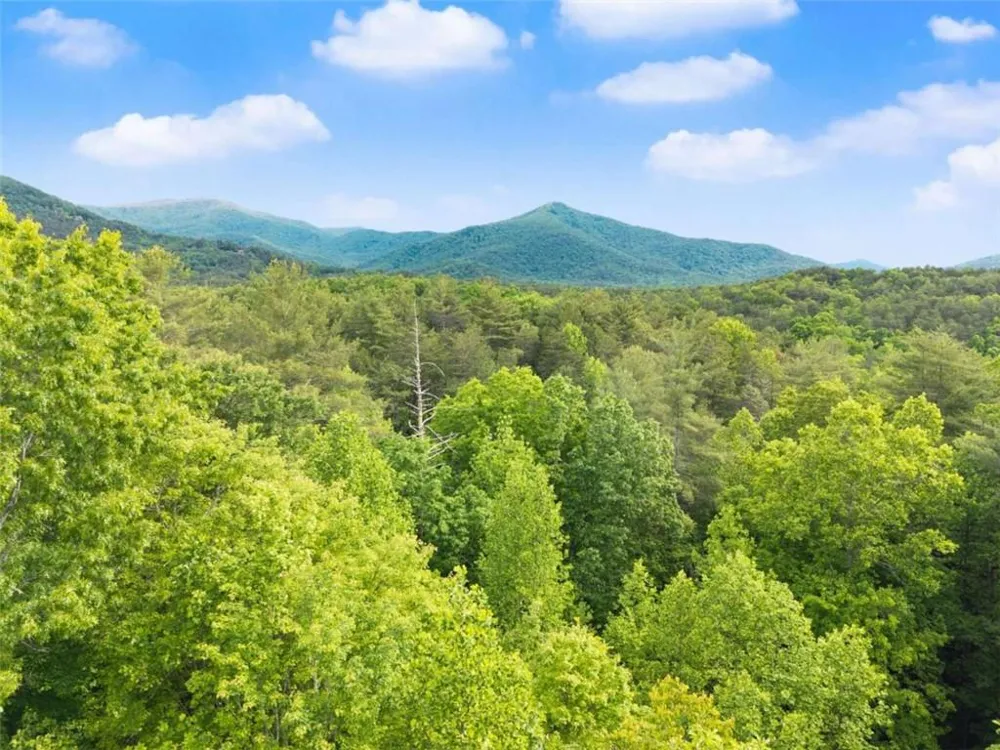 707 S Fern Cove Road S Sautee Nacoochee, GA 30571