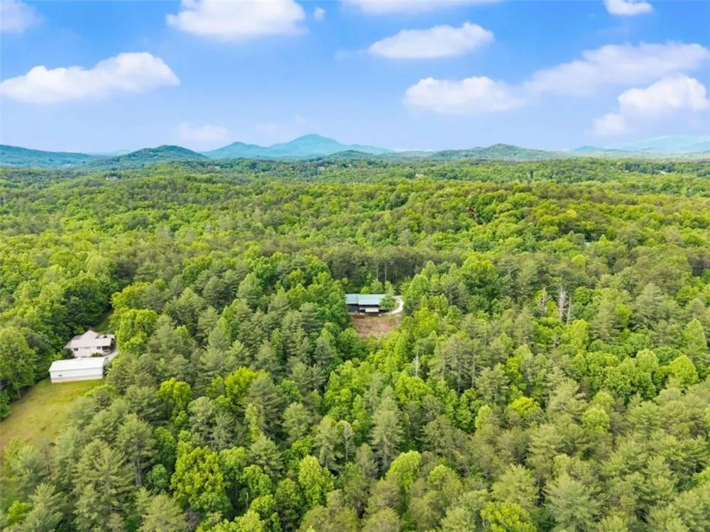 707 S Fern Cove Road S Sautee Nacoochee, GA 30571