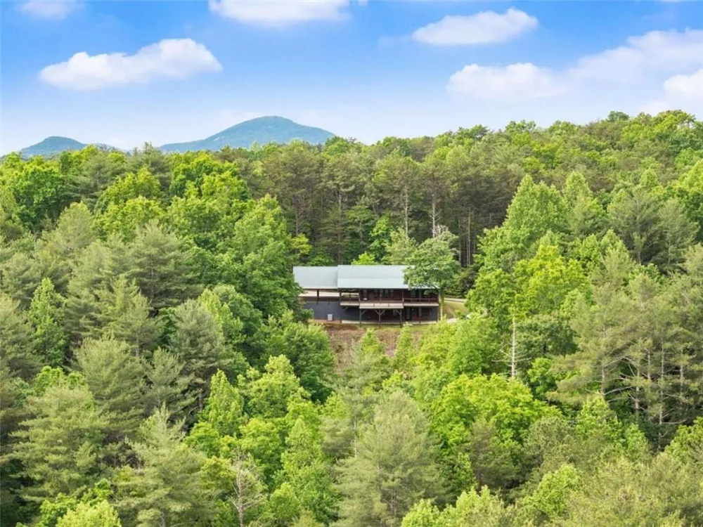 707 S Fern Cove Road S Sautee Nacoochee, GA 30571