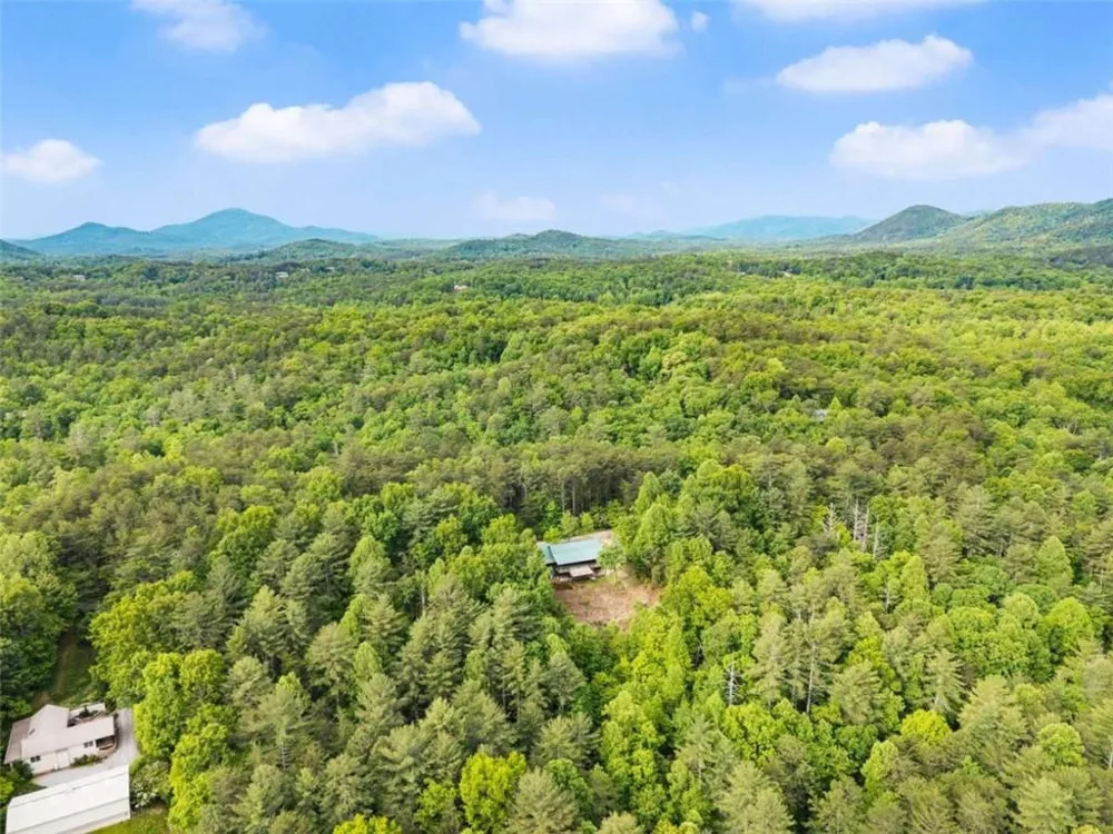 707 S Fern Cove Road S Sautee Nacoochee, GA 30571