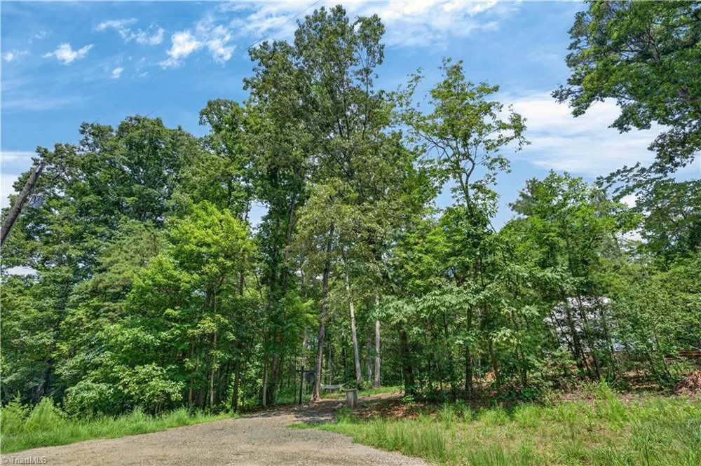 1005 Brewer Mill Road Extension Traphill, NC 28685