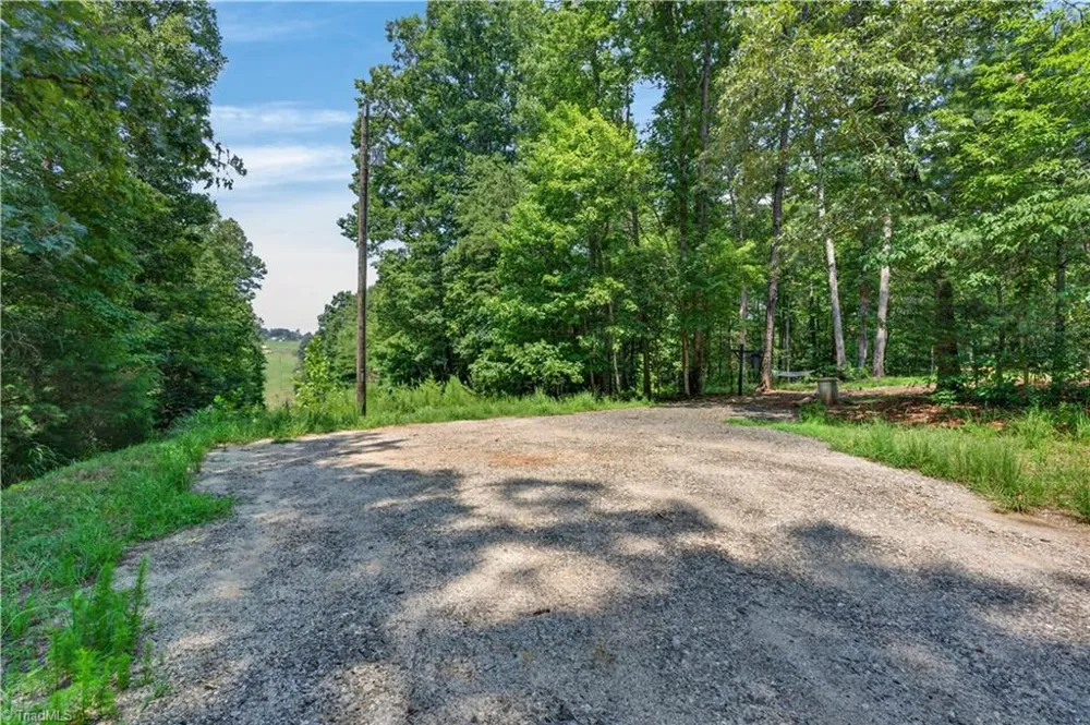 1005 Brewer Mill Road Extension Traphill, NC 28685