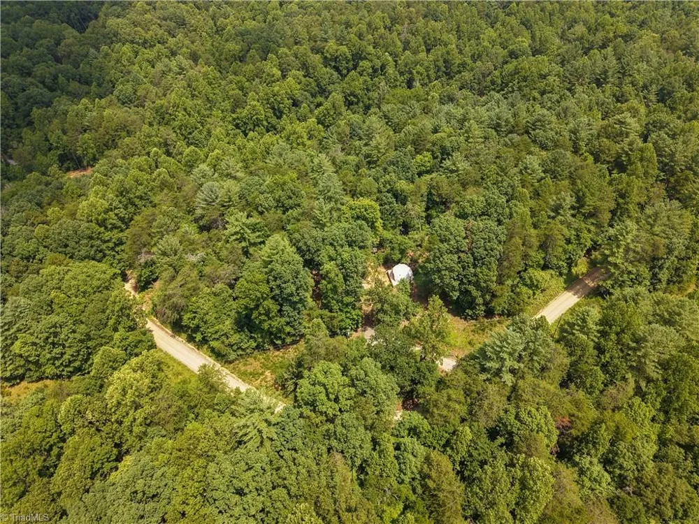 1005 Brewer Mill Road Extension Traphill, NC 28685