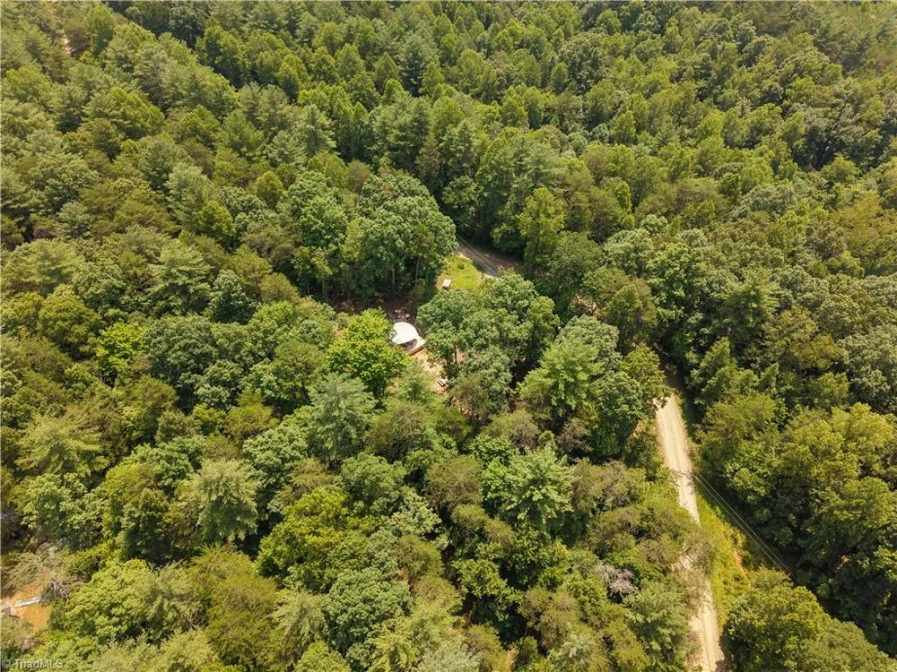 1005 Brewer Mill Road Extension Traphill, NC 28685
