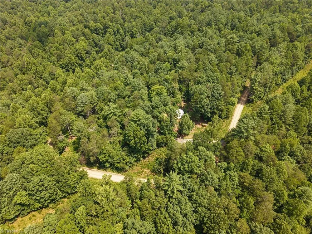 1005 Brewer Mill Road Extension Traphill, NC 28685