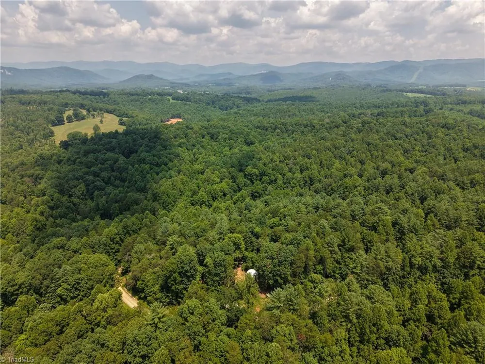 1005 Brewer Mill Road Extension Traphill, NC 28685