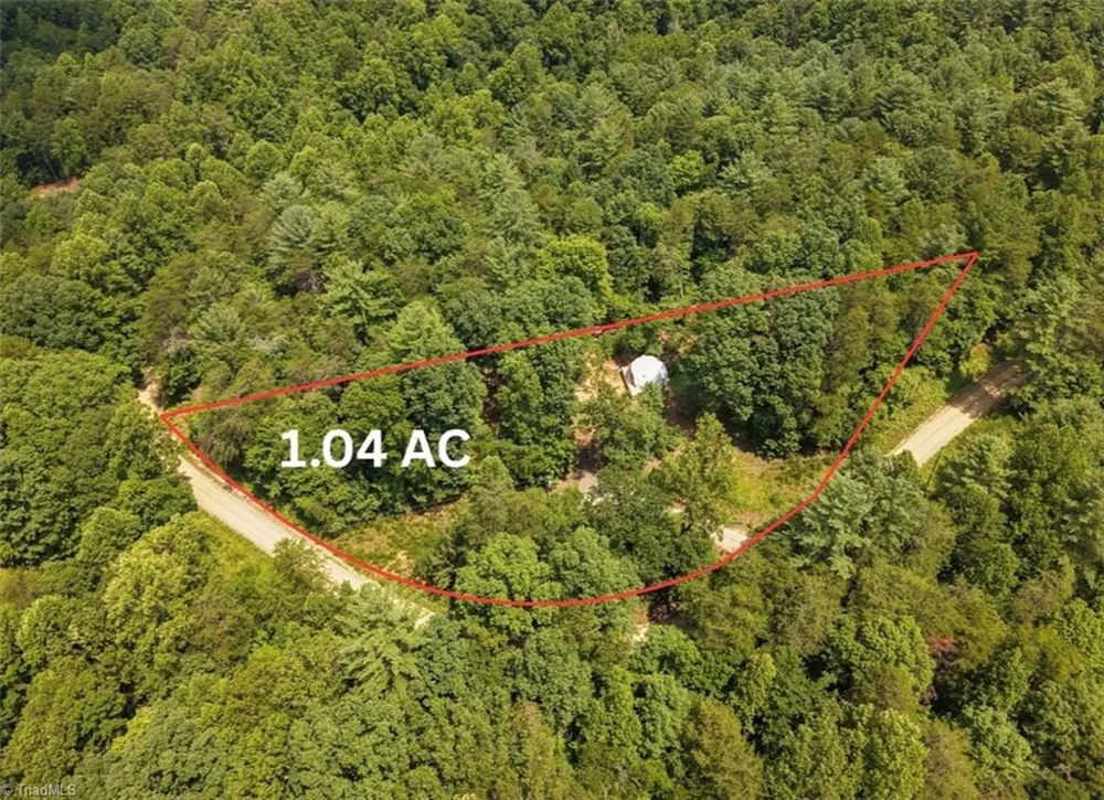 1005 Brewer Mill Road Extension Traphill, NC 28685