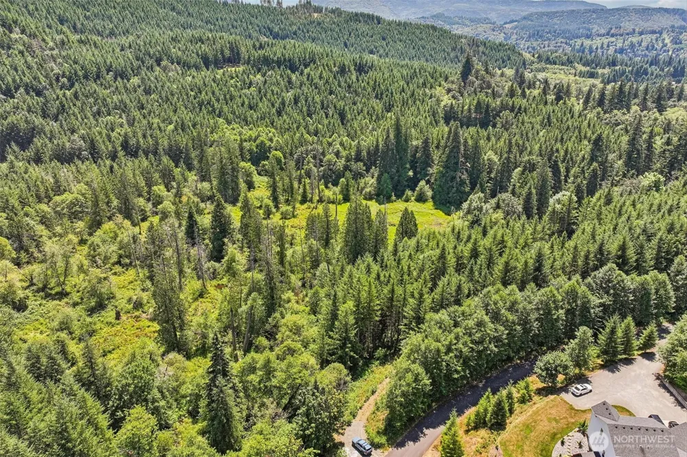 172 Mohawk Lane Amboy, WA 98601