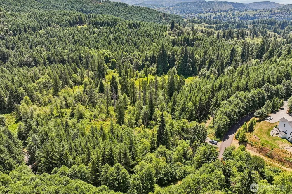 172 Mohawk Lane Amboy, WA 98601