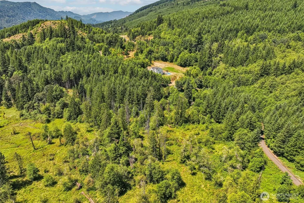 172 Mohawk Lane Amboy, WA 98601