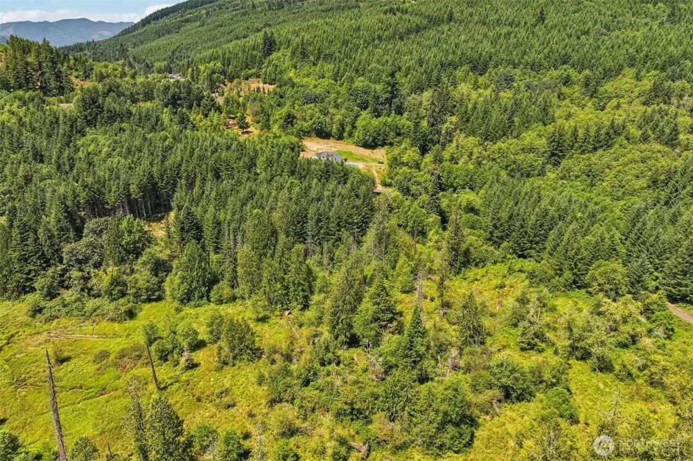 172 Mohawk Lane Amboy, WA 98601