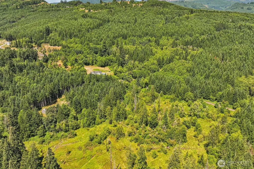 172 Mohawk Lane Amboy, WA 98601