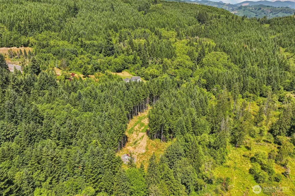 172 Mohawk Lane Amboy, WA 98601