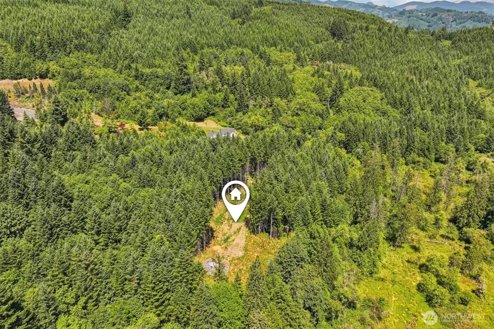 172 Mohawk Lane Amboy, WA 98601